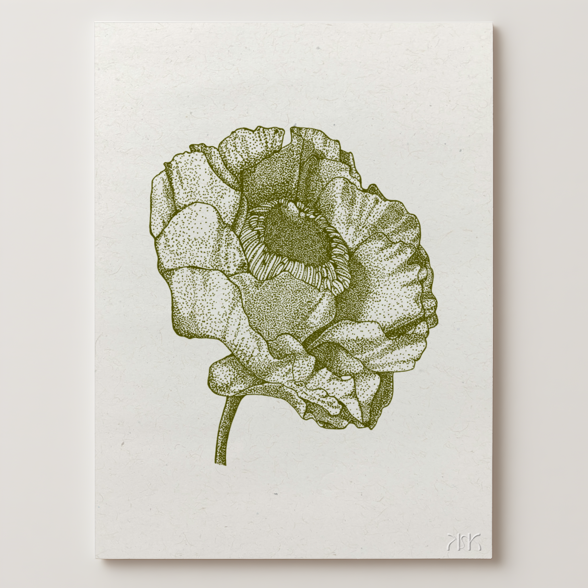 .BOTANICAL POPPY.