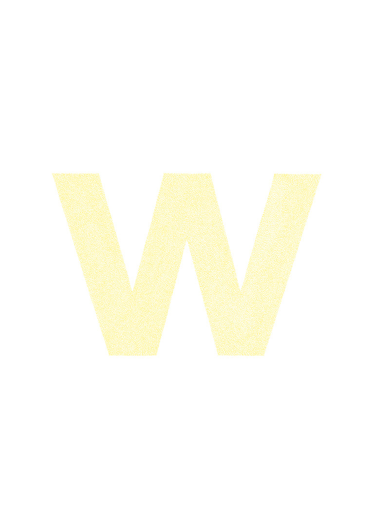 w is for....wylie + will