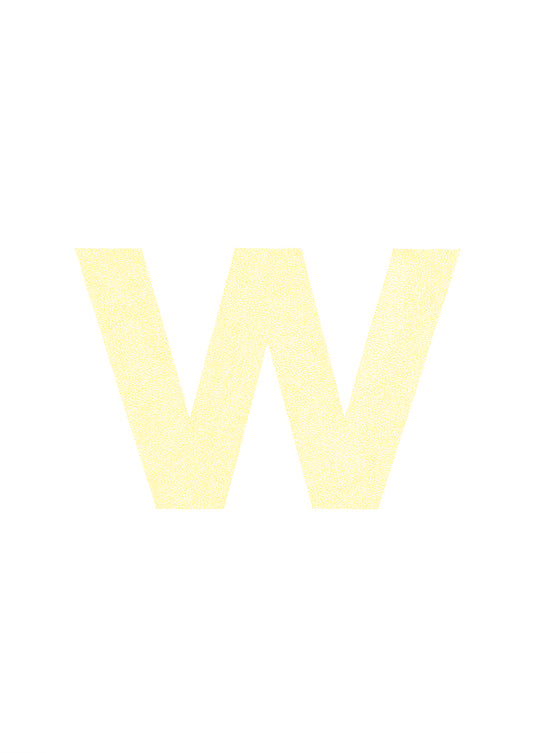 w is for....wylie + will