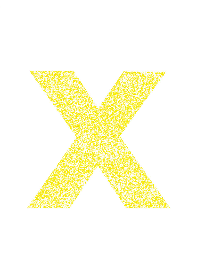 x is for....xanthe + xavier