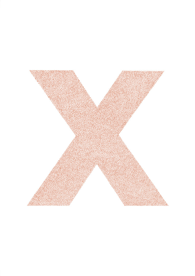 x is for....xanthe + xavier