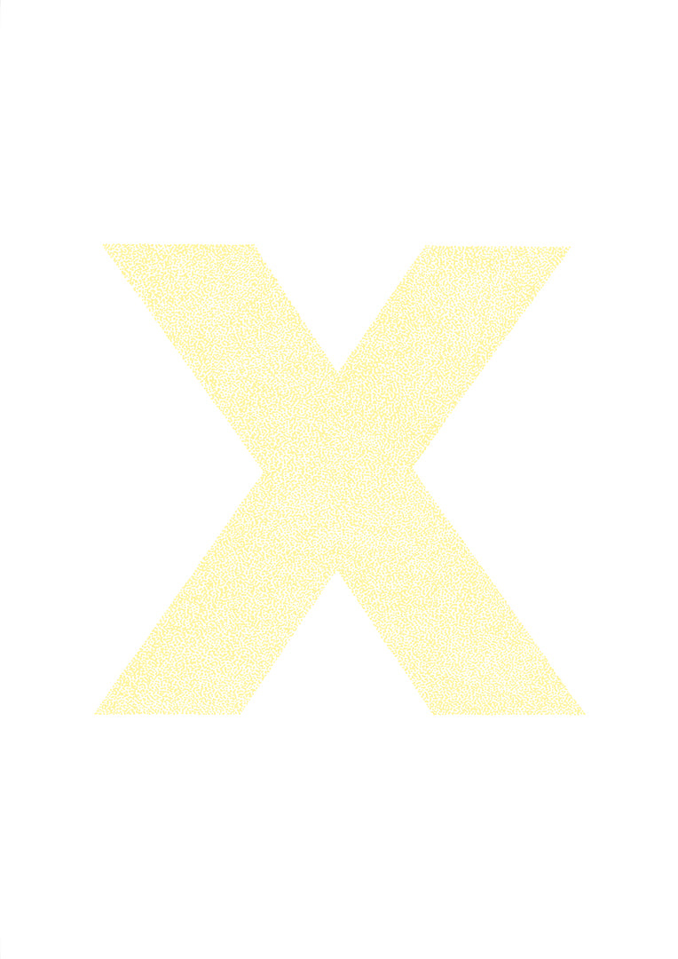 x is for....xanthe + xavier