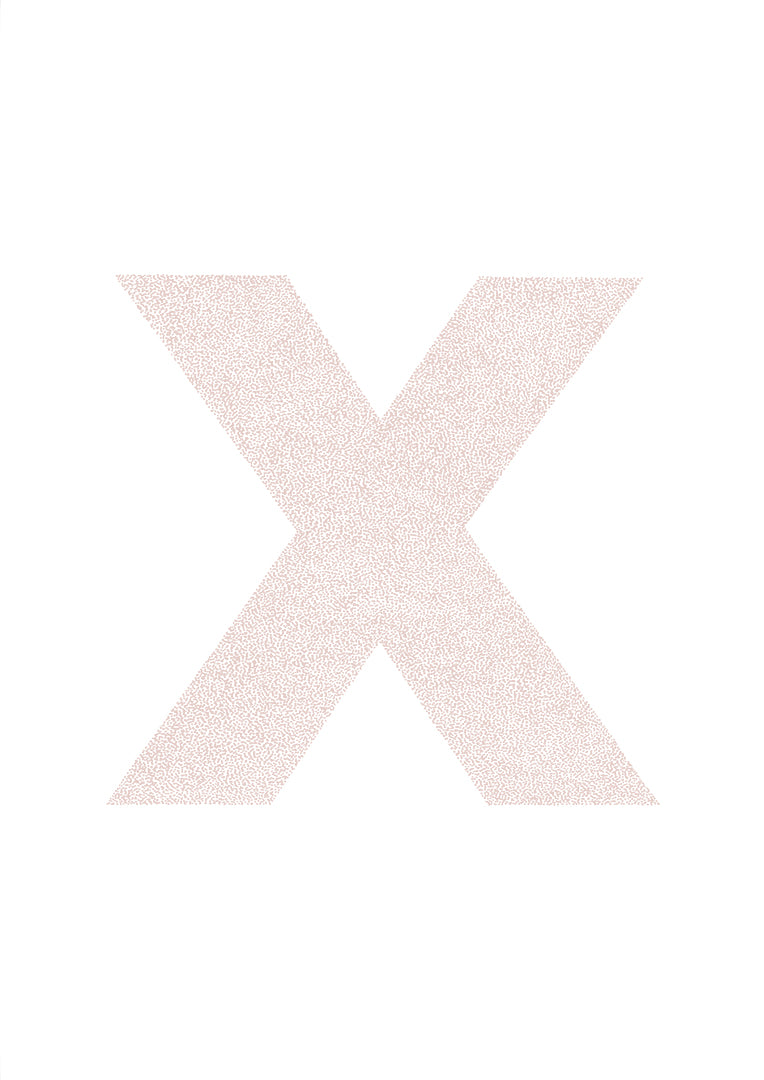 x is for....xanthe + xavier